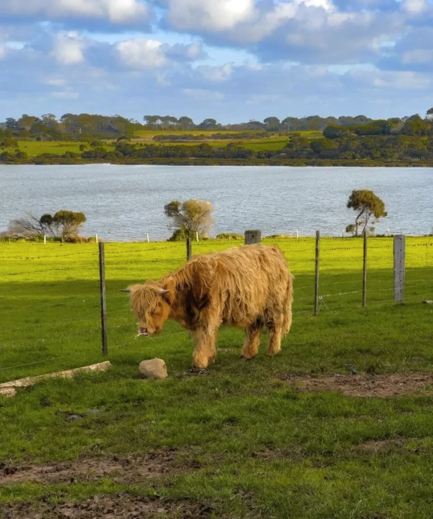 Churchill Island