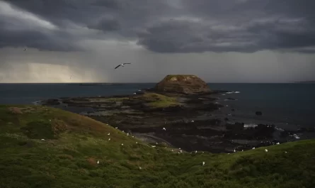 Phillip Island winter