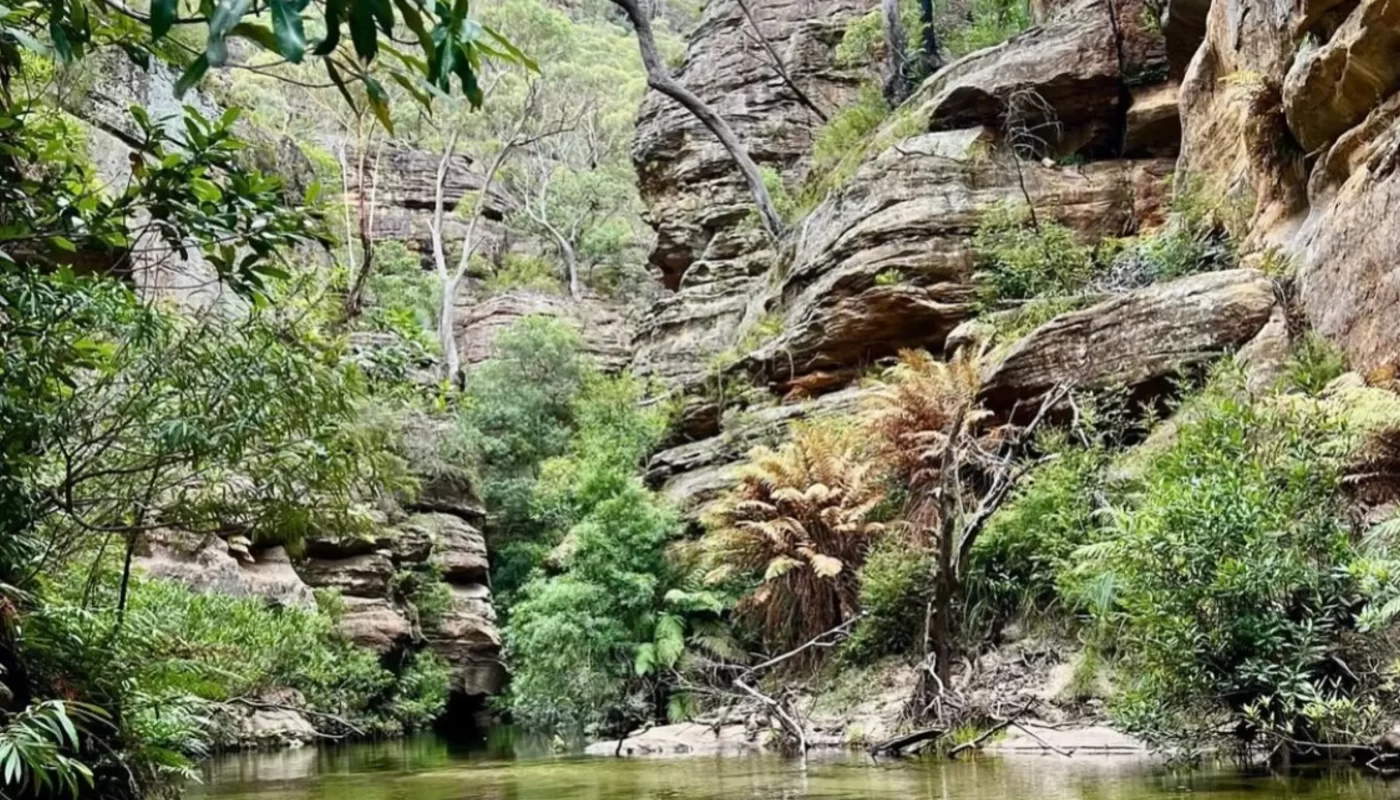 Blue Mountains National Park