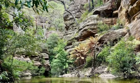 Blue Mountains National Park