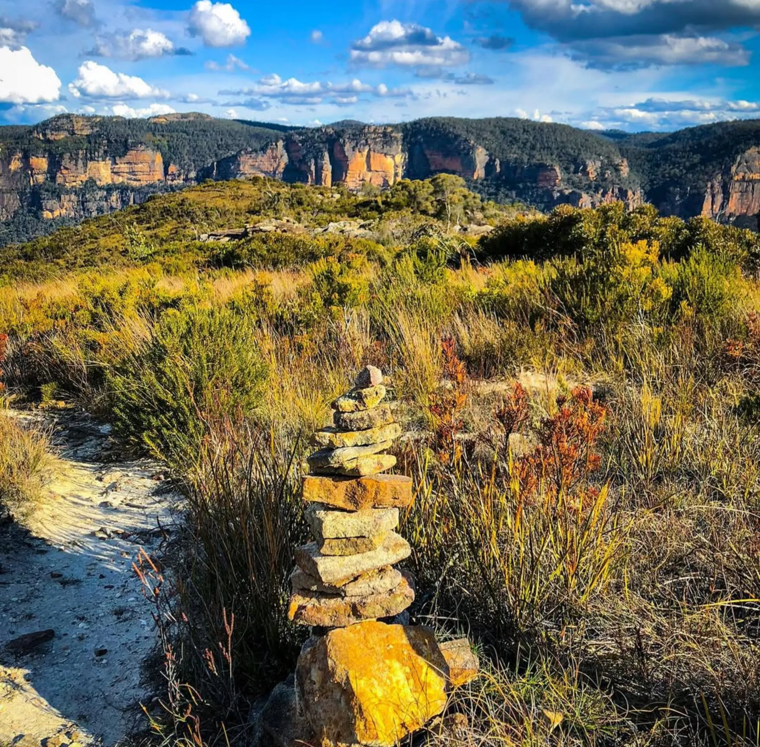 ecosystems, Blue Mountains