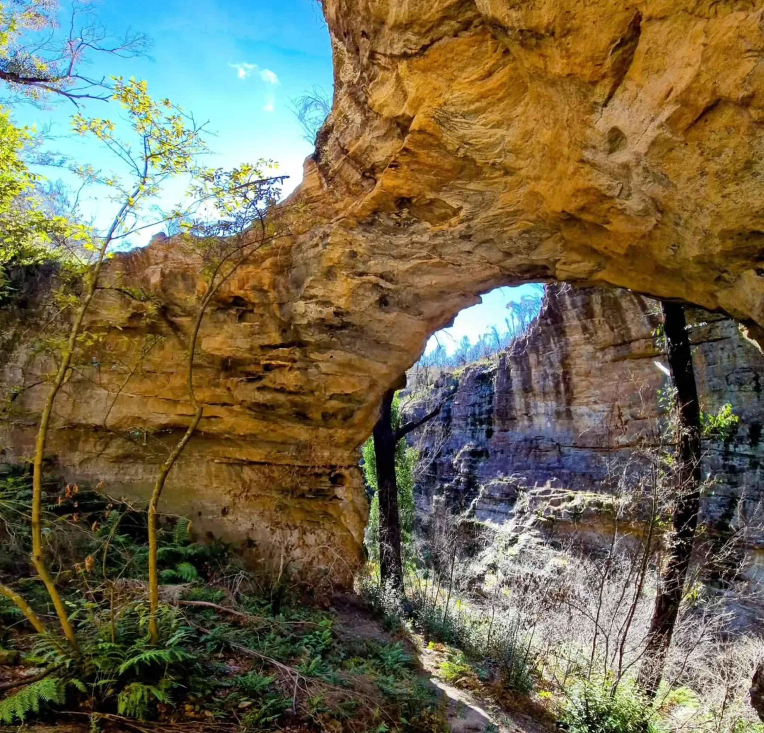 tours Blue Mountains