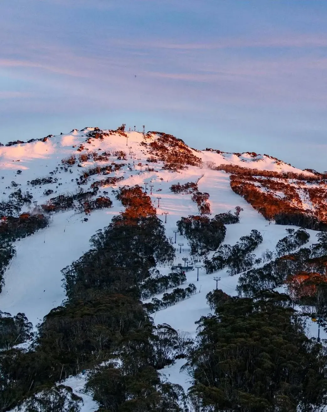 Consider a Snow Tour or Shuttle Service