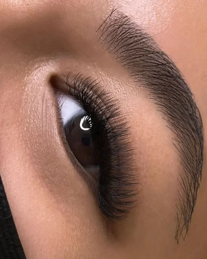 lash lamination