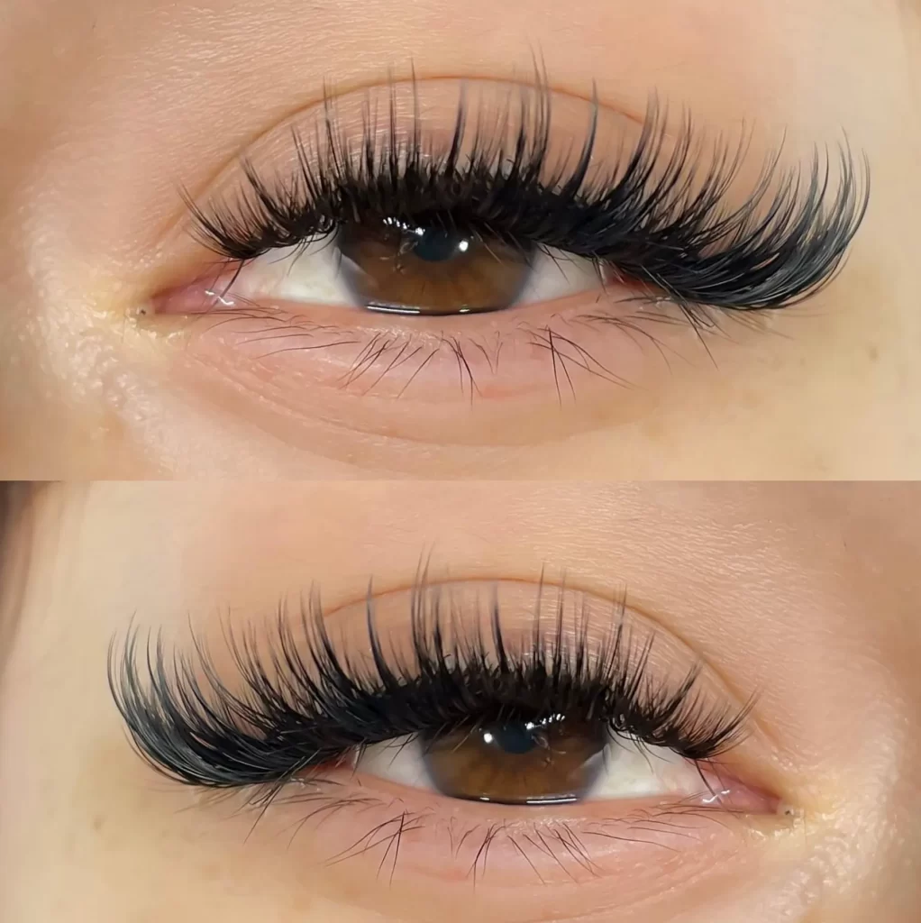 lash lamination brisbane