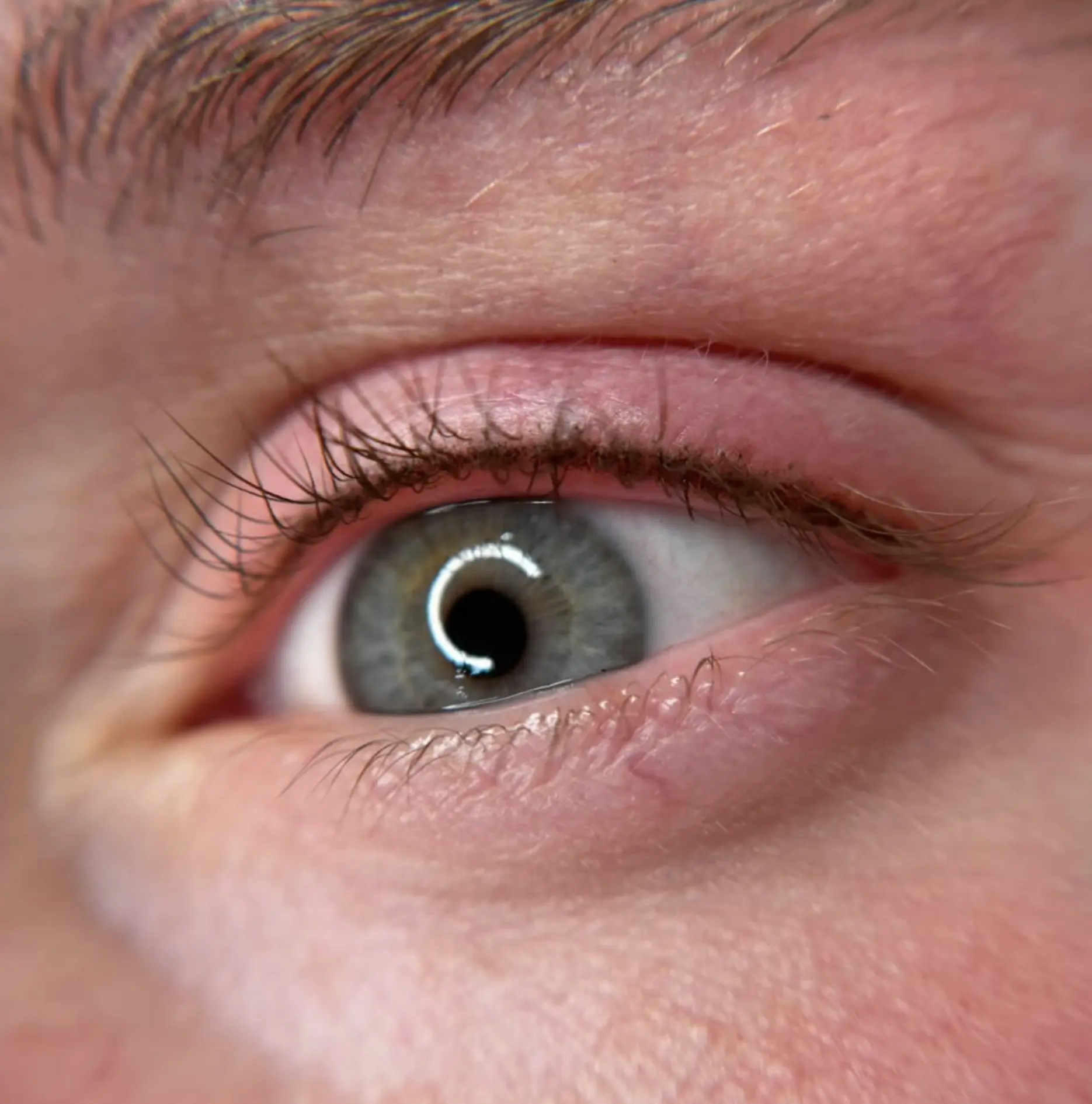 permanent lash enhancement