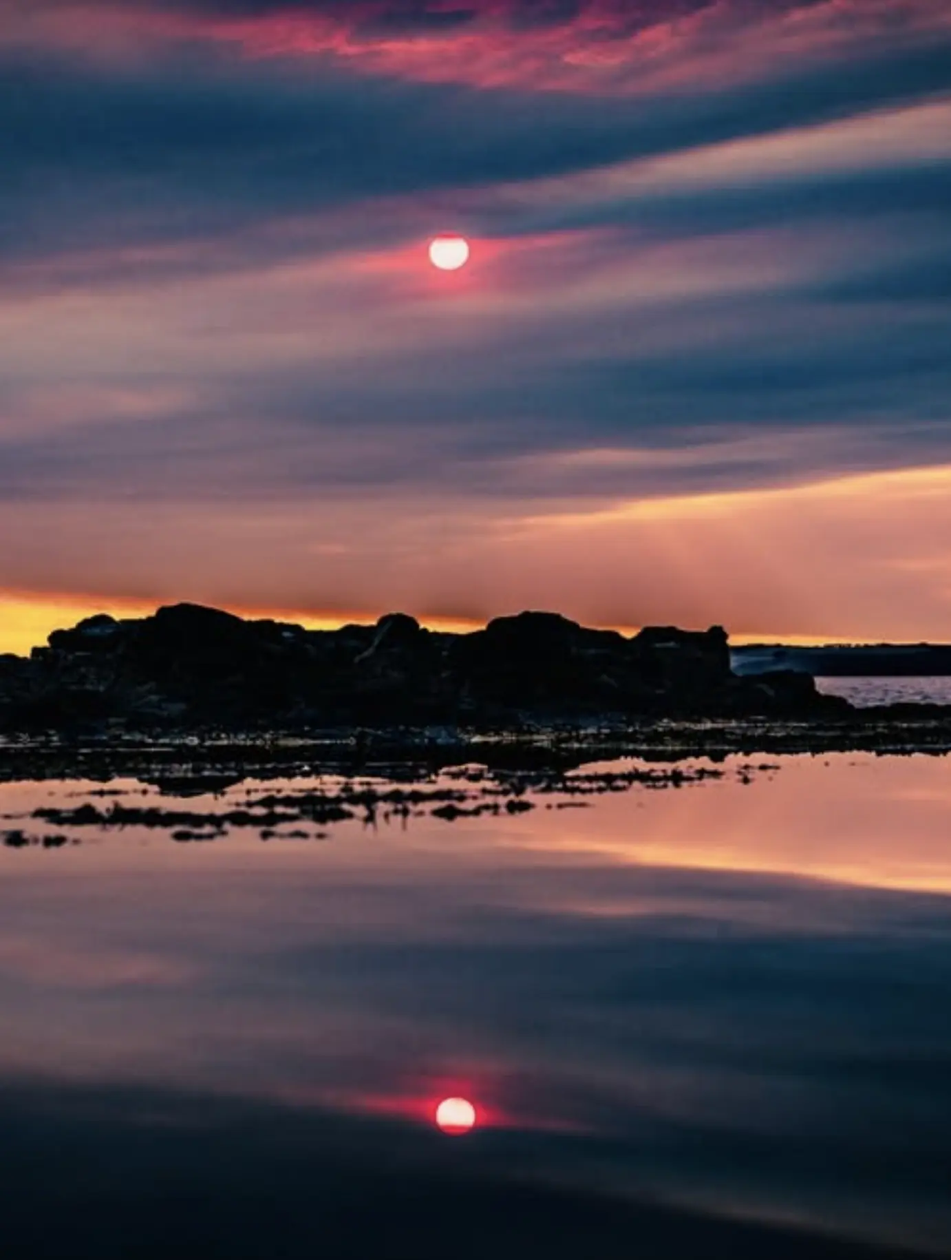 phillip island nature reserve
