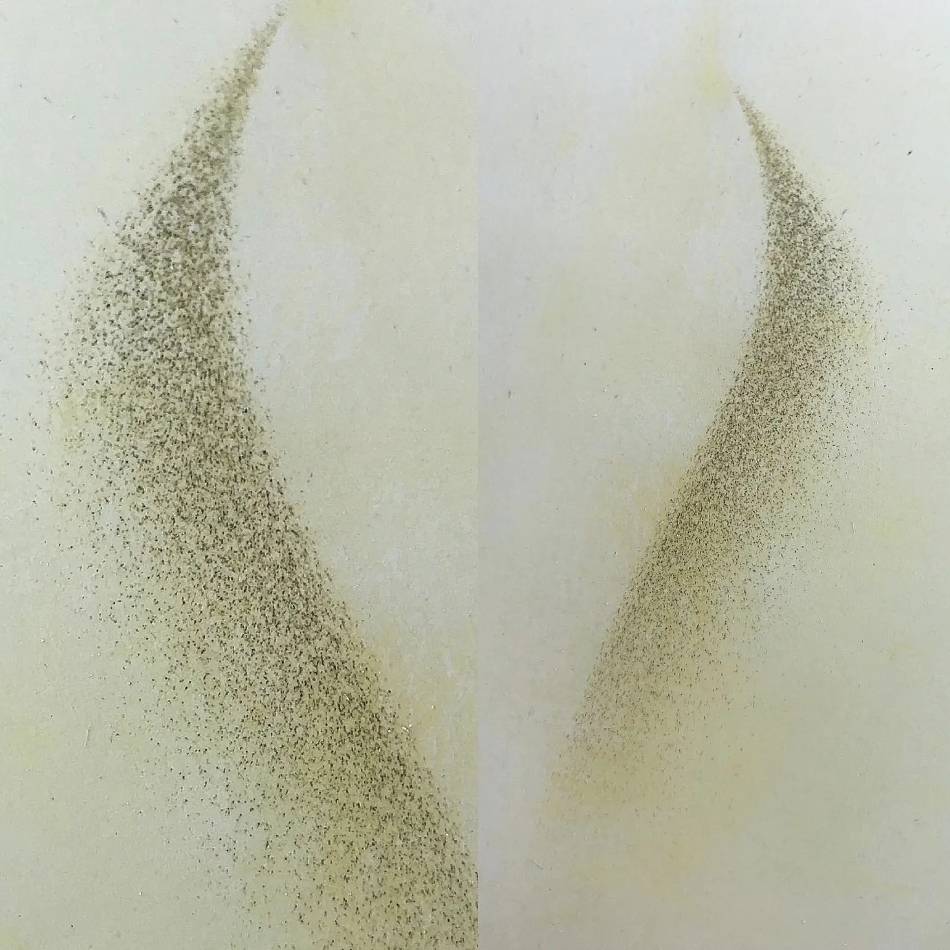 powder ombre brows before and after
